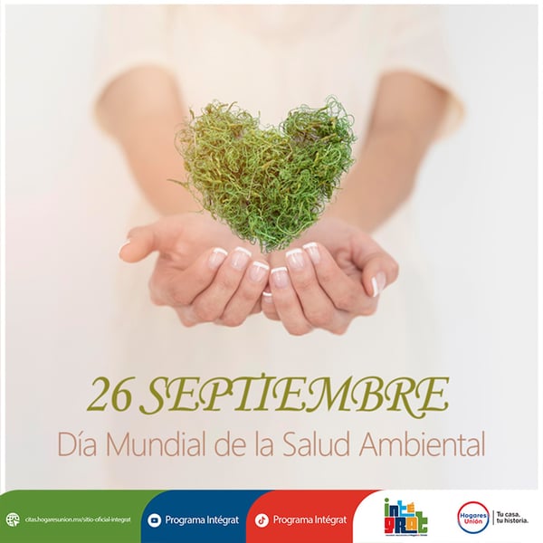DIA 22
