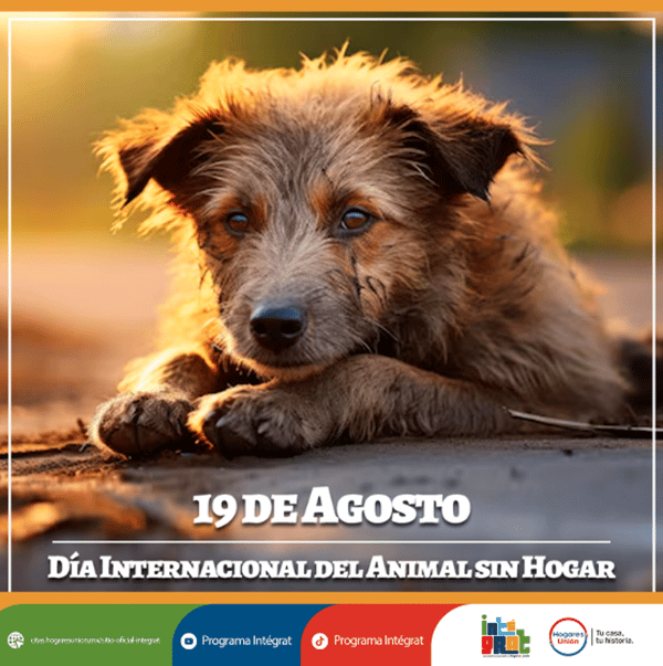 Imagen1-2
