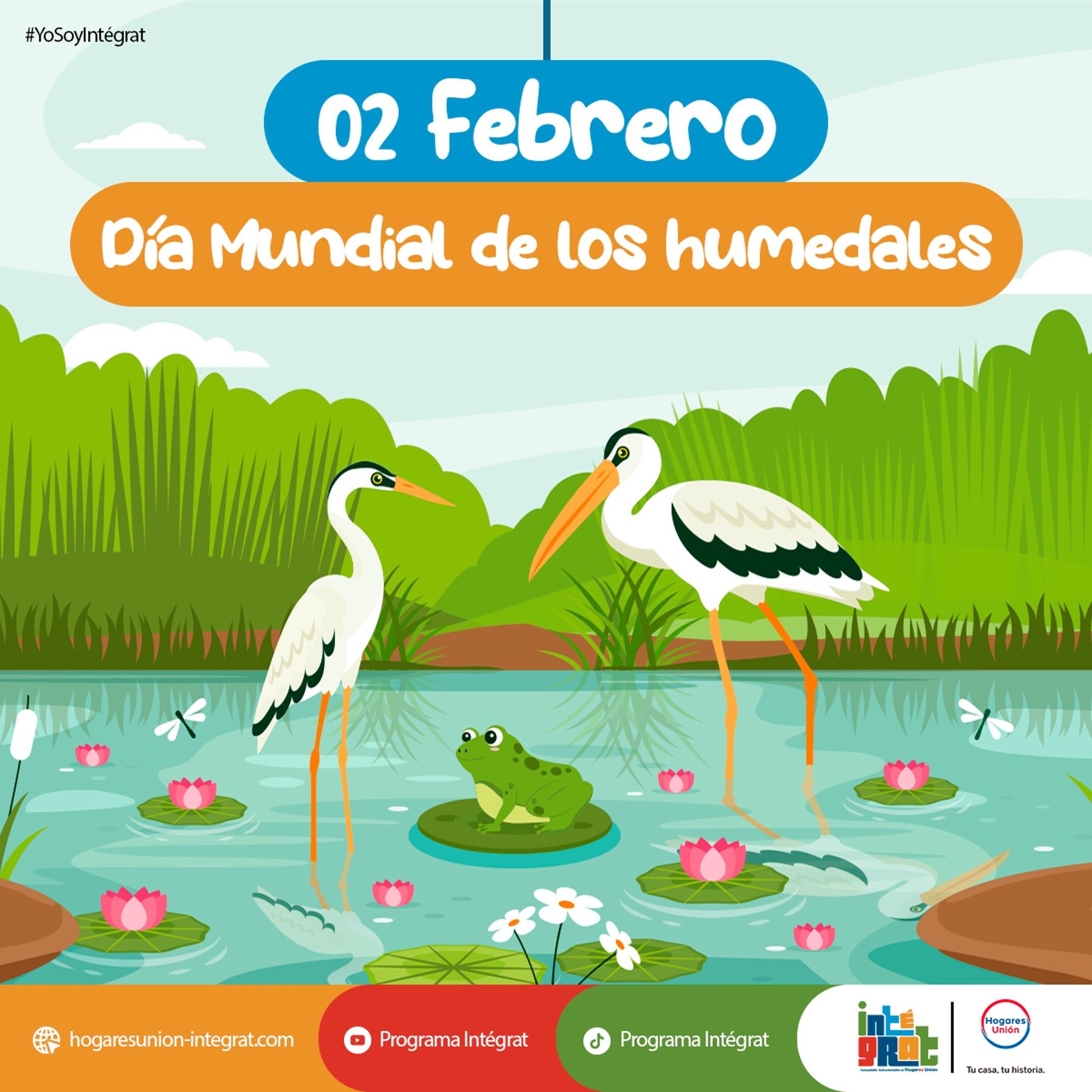 Imagen1-Jan-26-2026-03-13-12-1489-PM Imagen1-Jan-26-2026-03-13-12-1489-PM