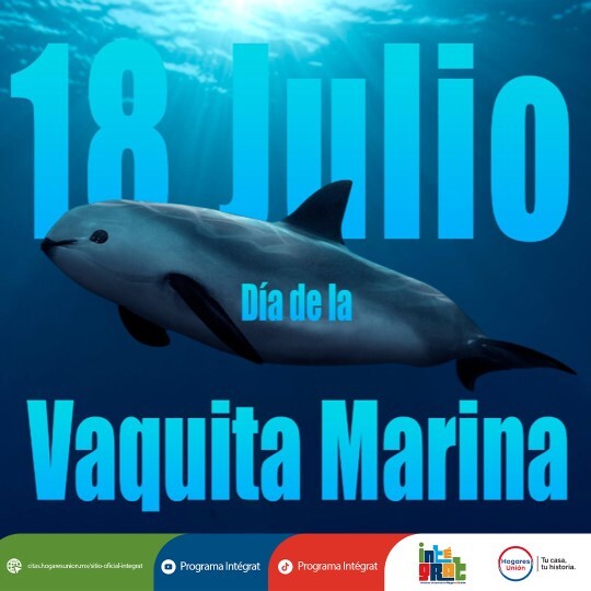 Imagen1-Jul-15-2026-12-11-10-3255-AM Imagen1-Jul-15-2026-12-11-10-3255-AM