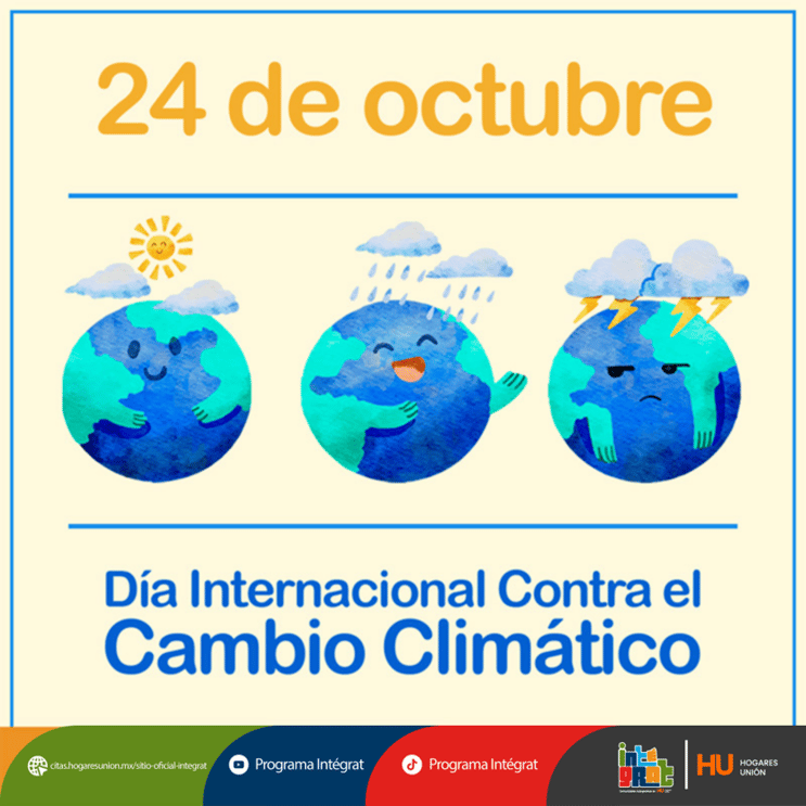 Imagen1-Oct-19-2026-10-05-51-4484-PM Imagen1-Oct-19-2026-10-05-51-4484-PM