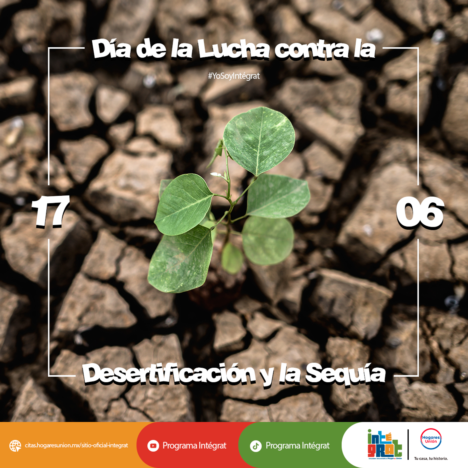 Imagen1-Jun-09-2025-03-46-27-5701-PM