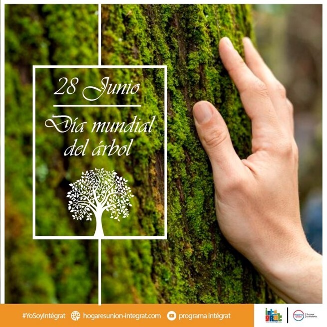 Imagen1-Jun-23-2025-04-28-18-7425-PM Imagen1-Jun-23-2025-04-28-18-7425-PM
