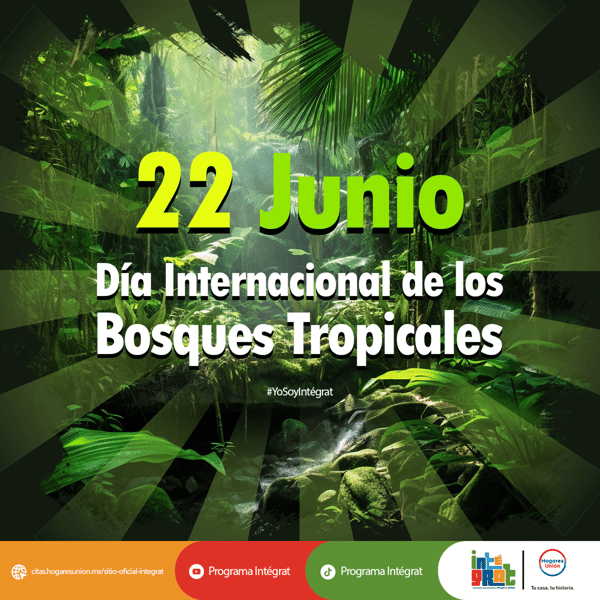 pagina web 1