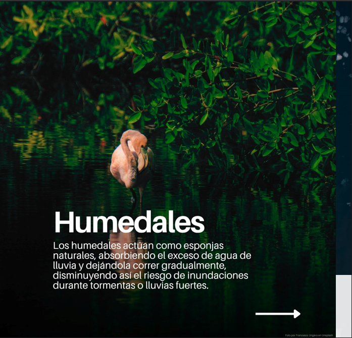 Humedales