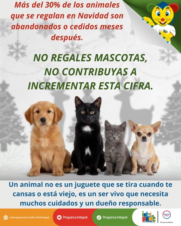 Imagen2-Dec-29-2025-04-57-04-9736-PM Imagen2-Dec-29-2025-04-57-04-9736-PM