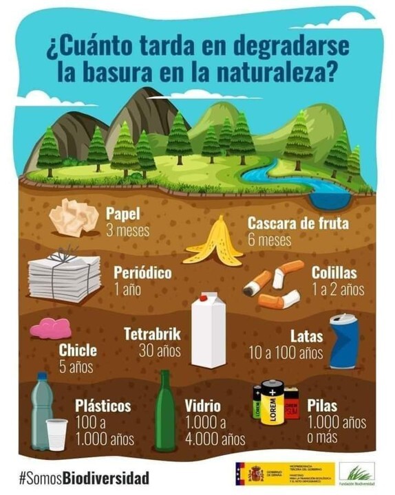 Imagen3-May-04-2026-03-27-00-7257-PM