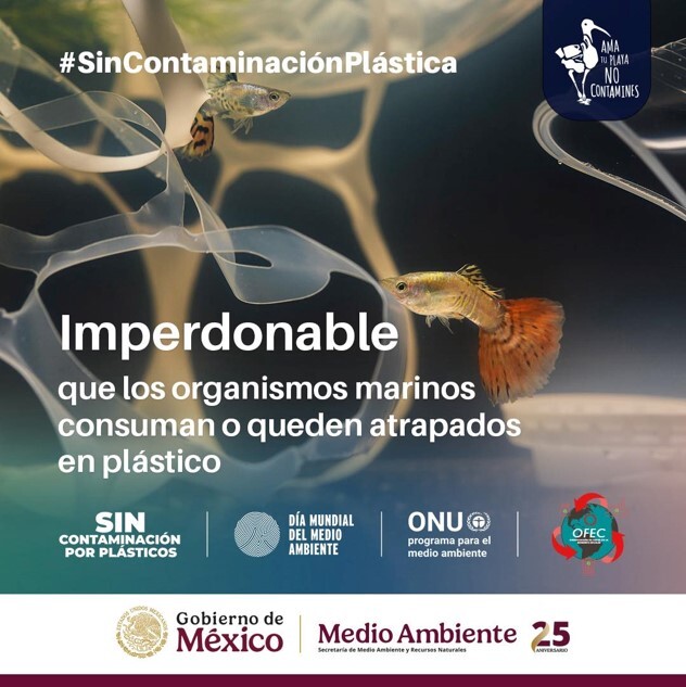 Imagen3-Aug-04-2025-05-41-42-5034-PM Imagen3-Aug-04-2025-05-41-42-5034-PM