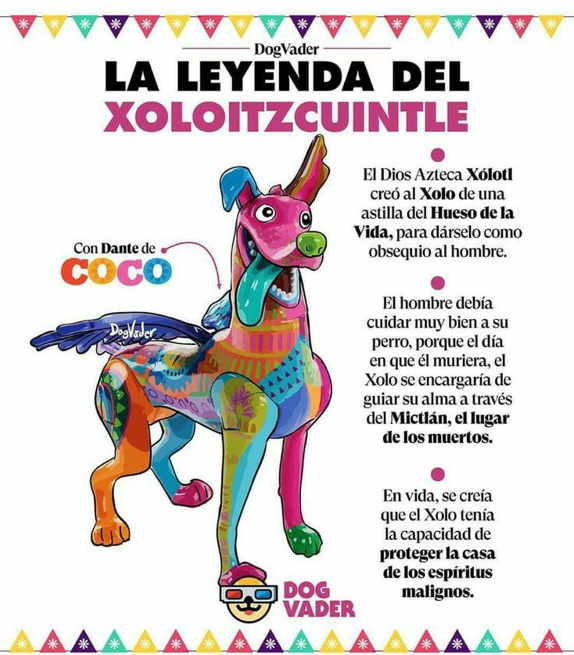 Xolo